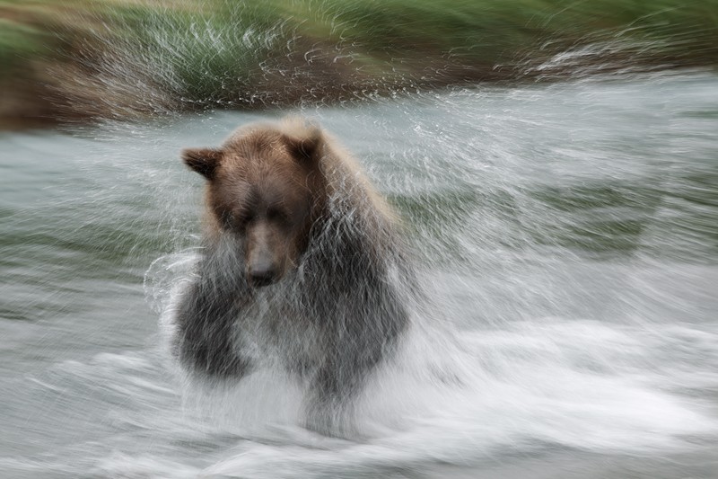 Bear Jump