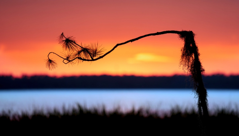 Bobs-pine-perch-3200-at-sunset_DSC6667-Indian-Lake-Estates-FL-Enhanced-NR