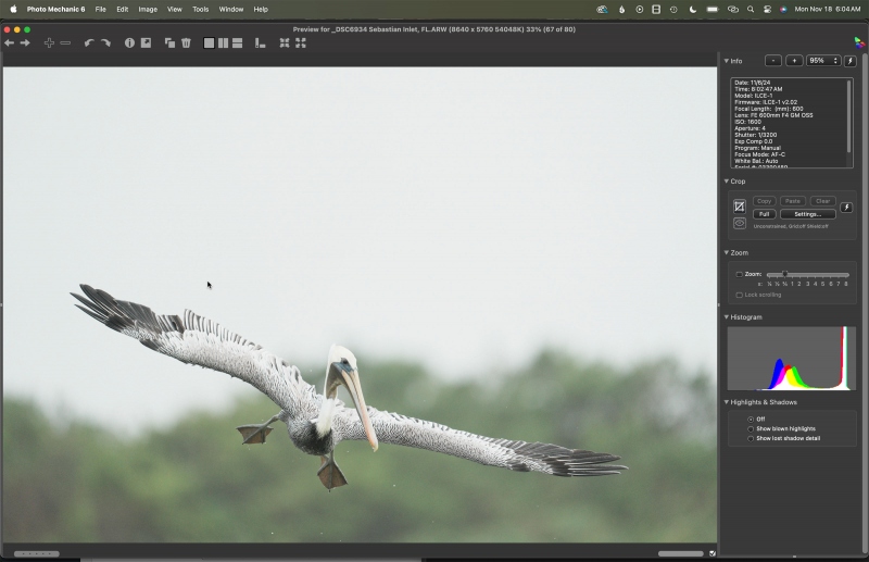 ORIG-pelican-flight-pano