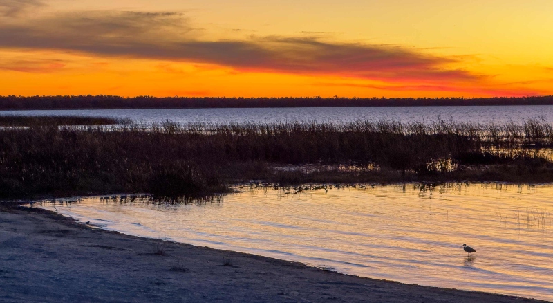 Snowy-Egret-3200-at-sunset-IMG_0566