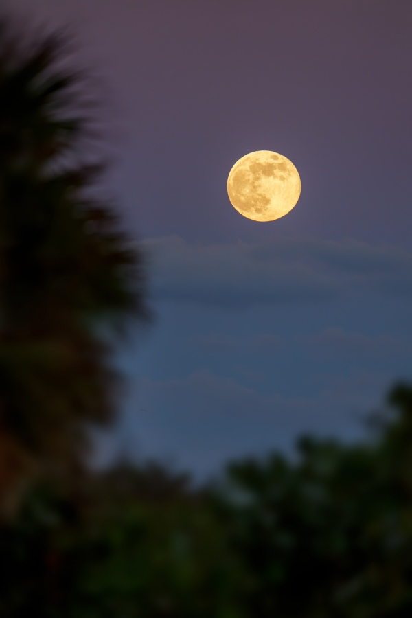 full-moon-setting-3200-_DSC7773-Sebastian-Inlet-FL-Enhanced-NR