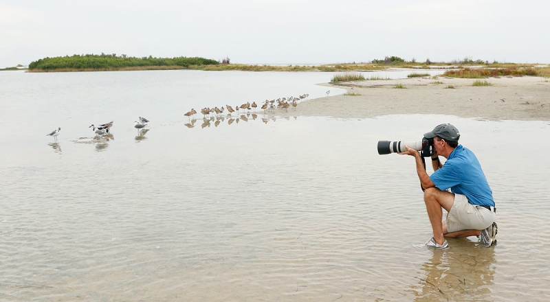 photographer-and-shorebirds_36A2471-Indian-Lake-Estates-FL